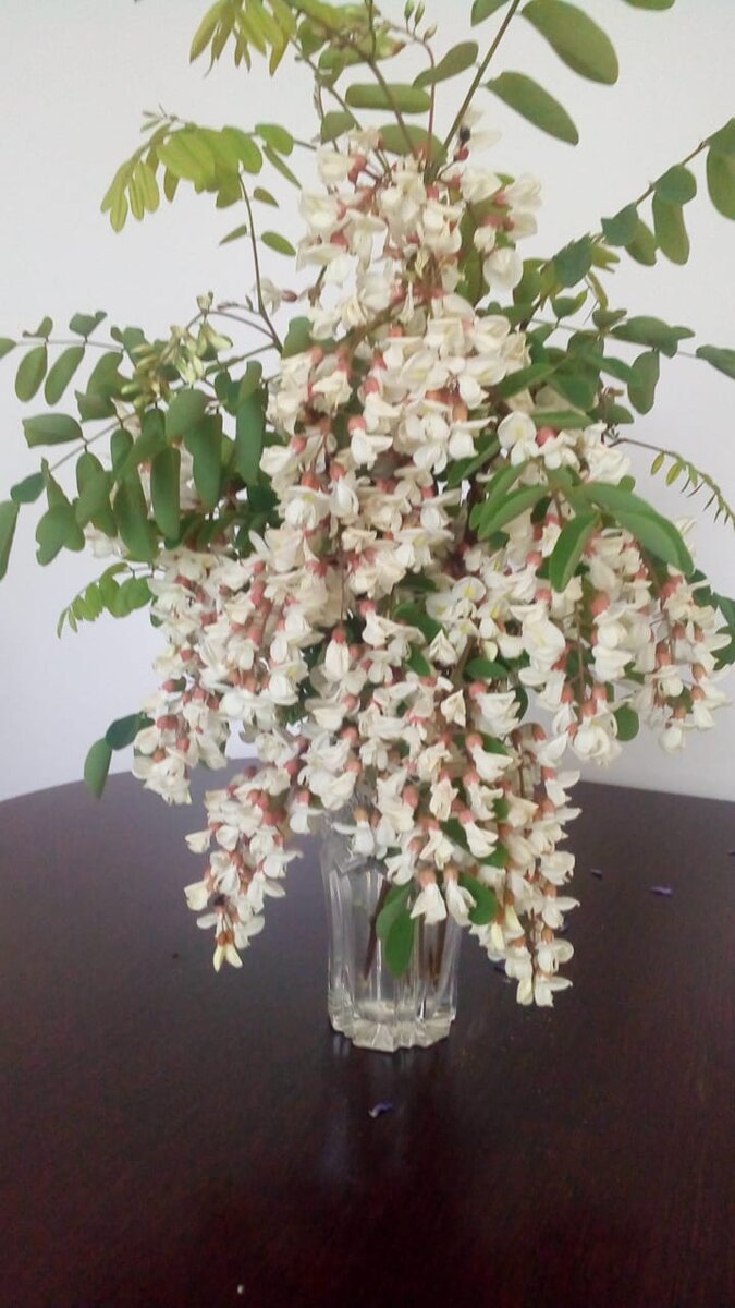 Букет акации