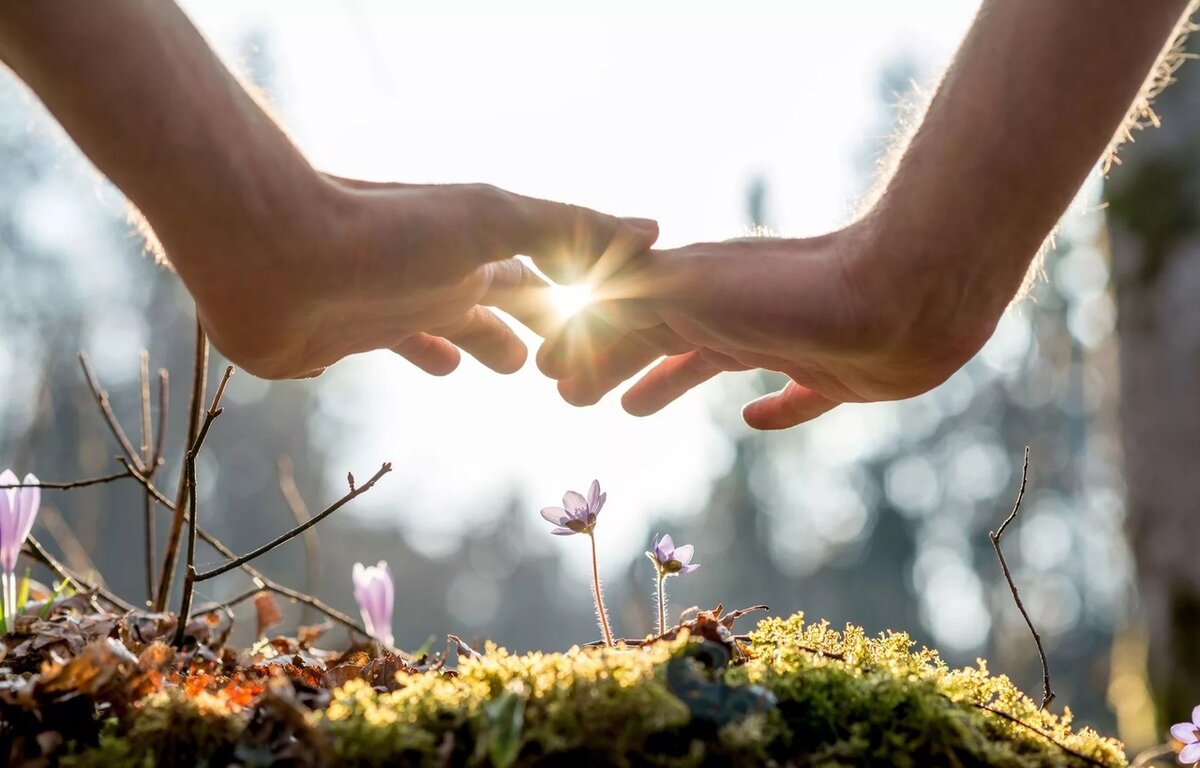 Источник изображения: stihi.ru