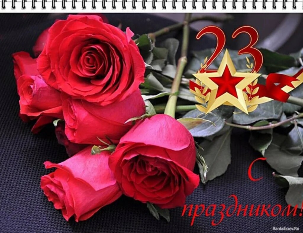 23 Февраля цветы