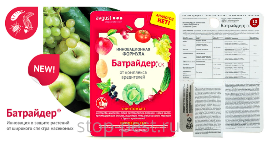 фото сайта https://stop-pest.ru