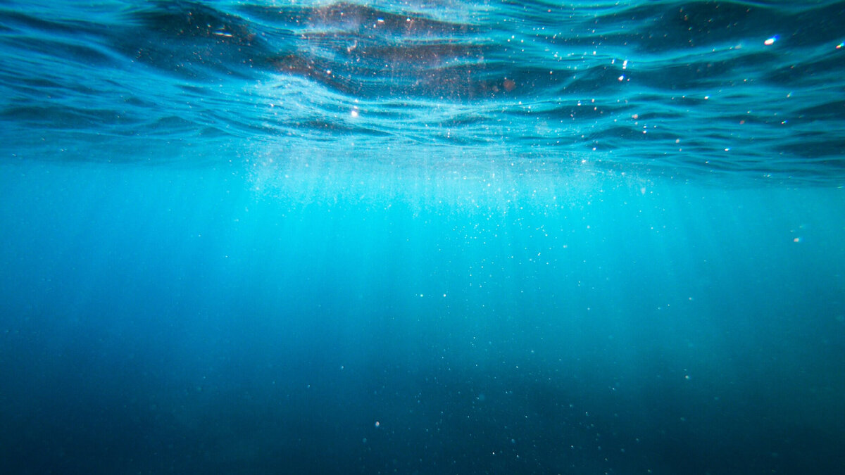 Фото https://wallbox.ru