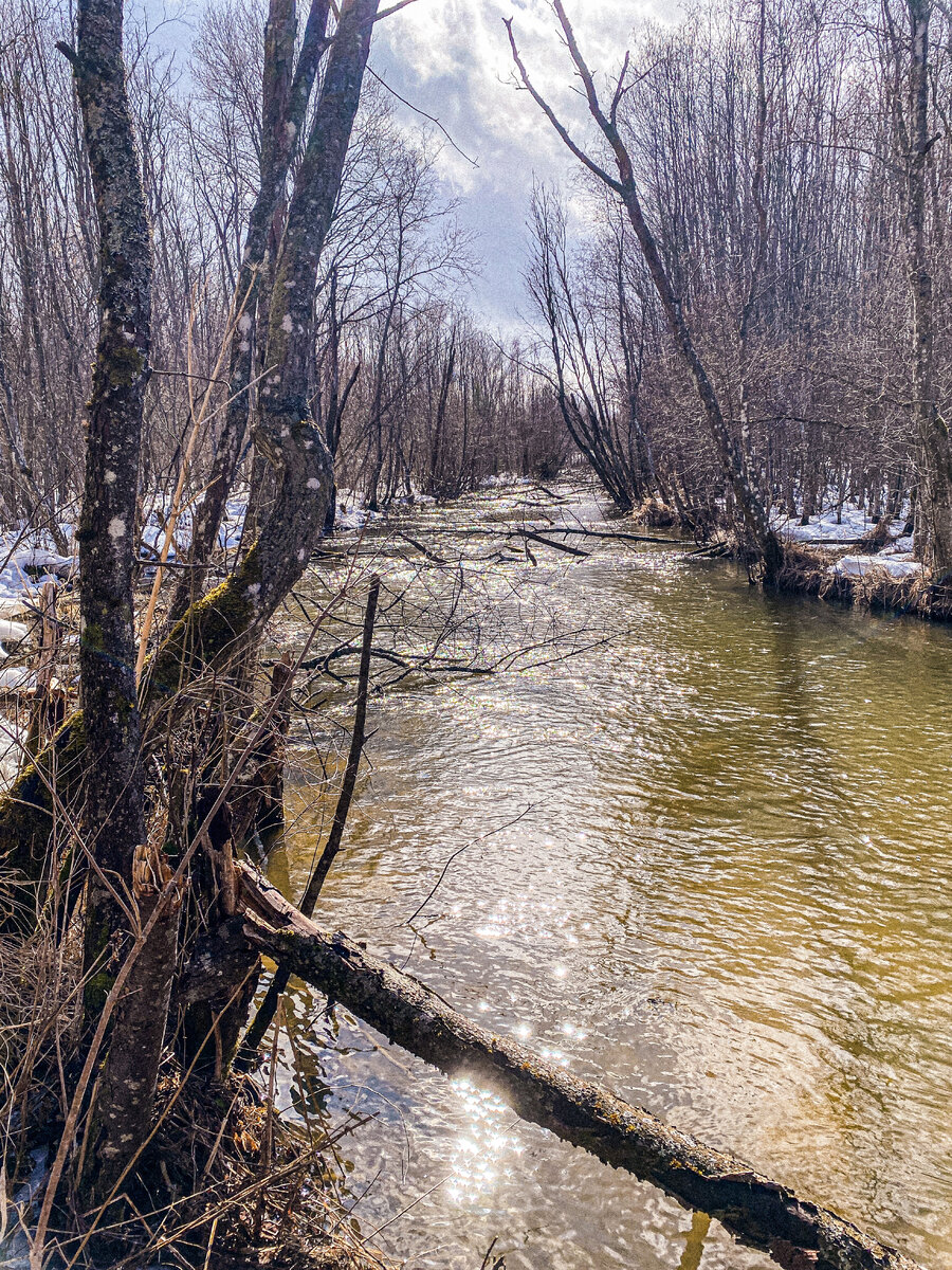 Красоты зимне-весенних рек