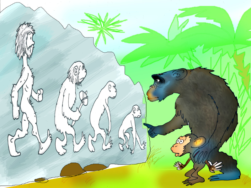 Современный человек. Может ли процесс пойти вспять?