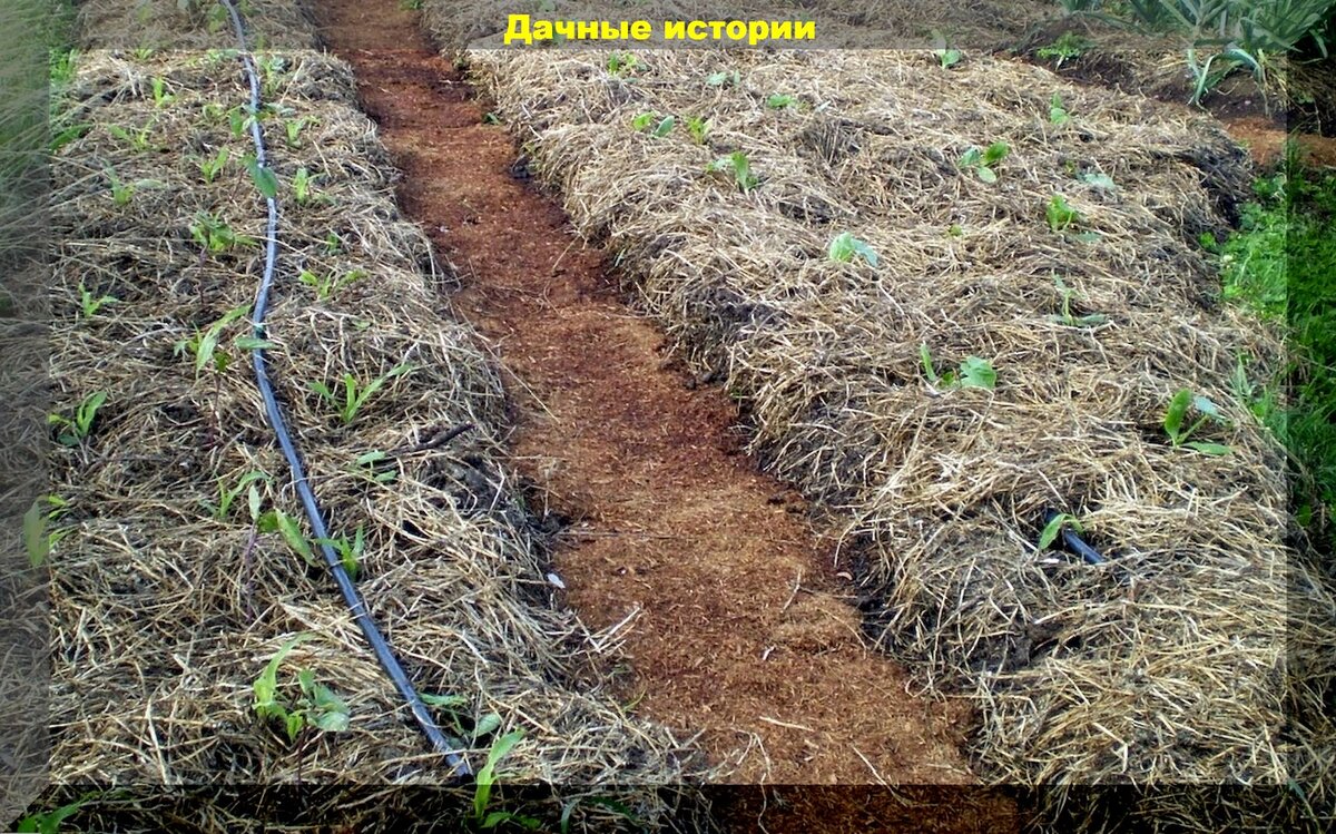 https://vk.com/photo-159774511_457252777