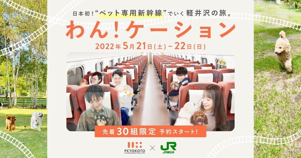 Японские Синкансэн для домашних животных, железные дороги предлагают.