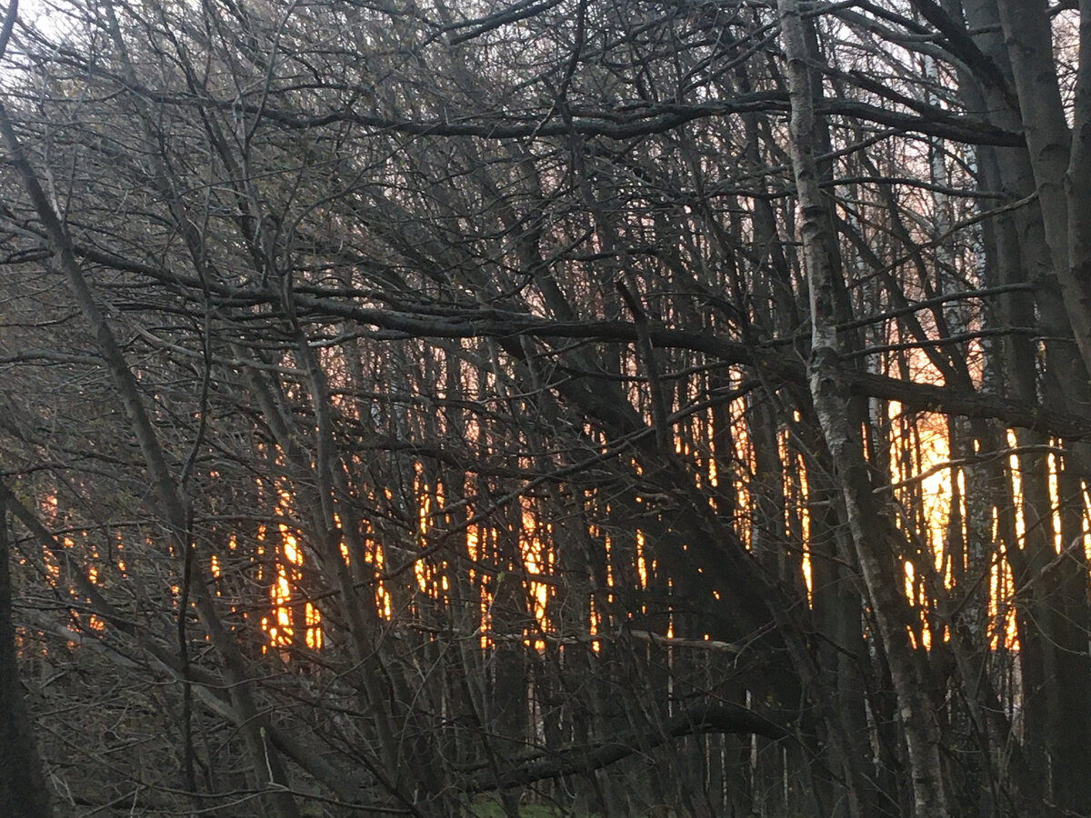 Закат 2