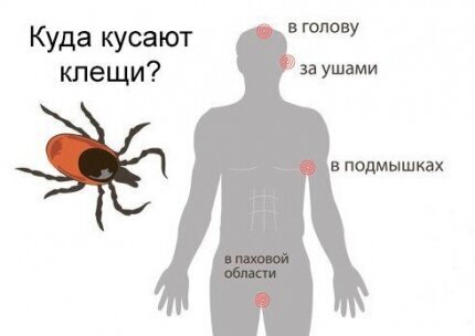 Картинка взята с просторов Интернета