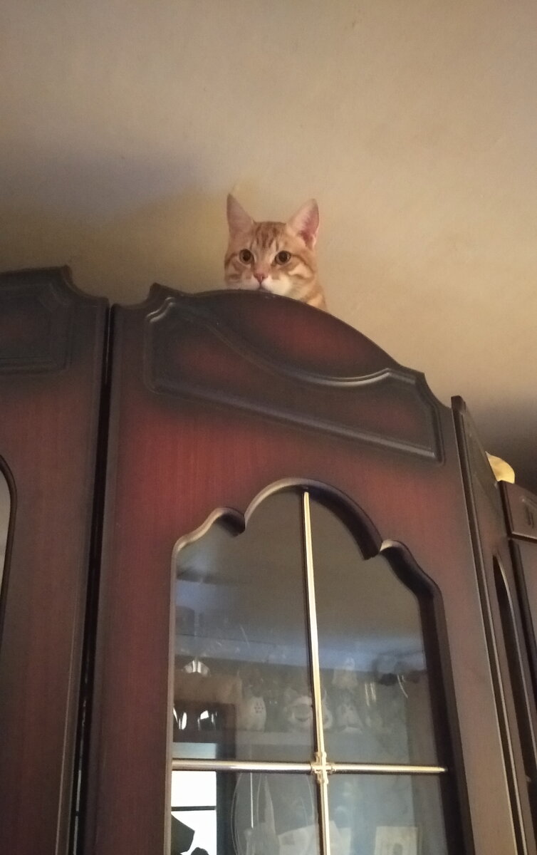 Личное фото.