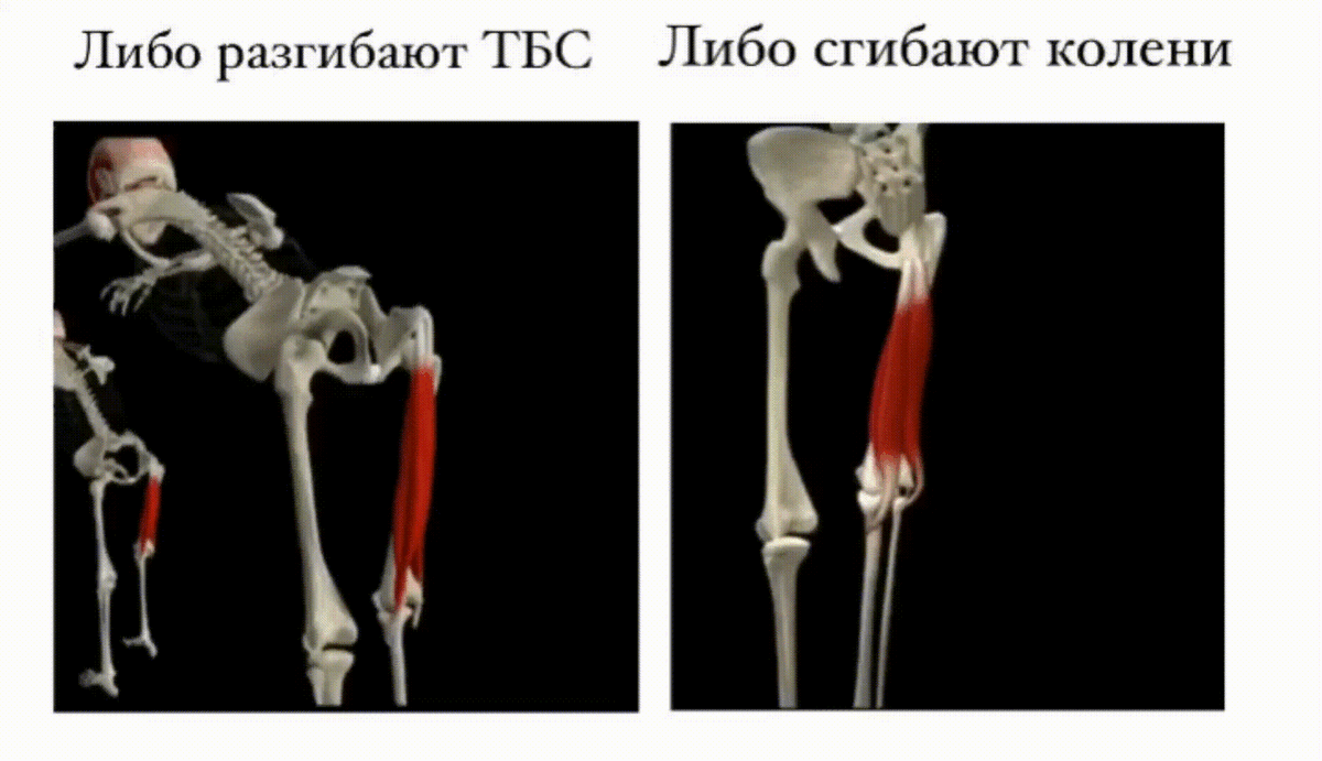 Задняя поверхность бедра 