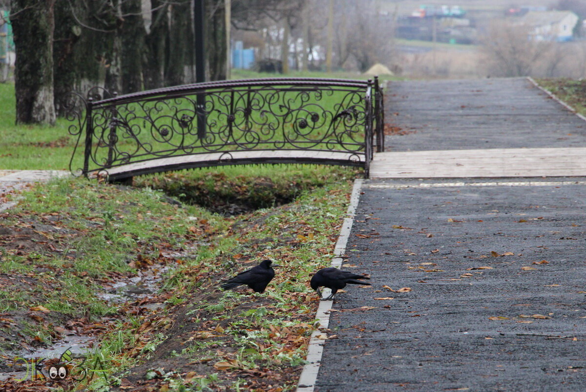Пройдя дальше по дорожке, выходишь на грунтовку, немного пройти - и пруды. Даже немного видно.