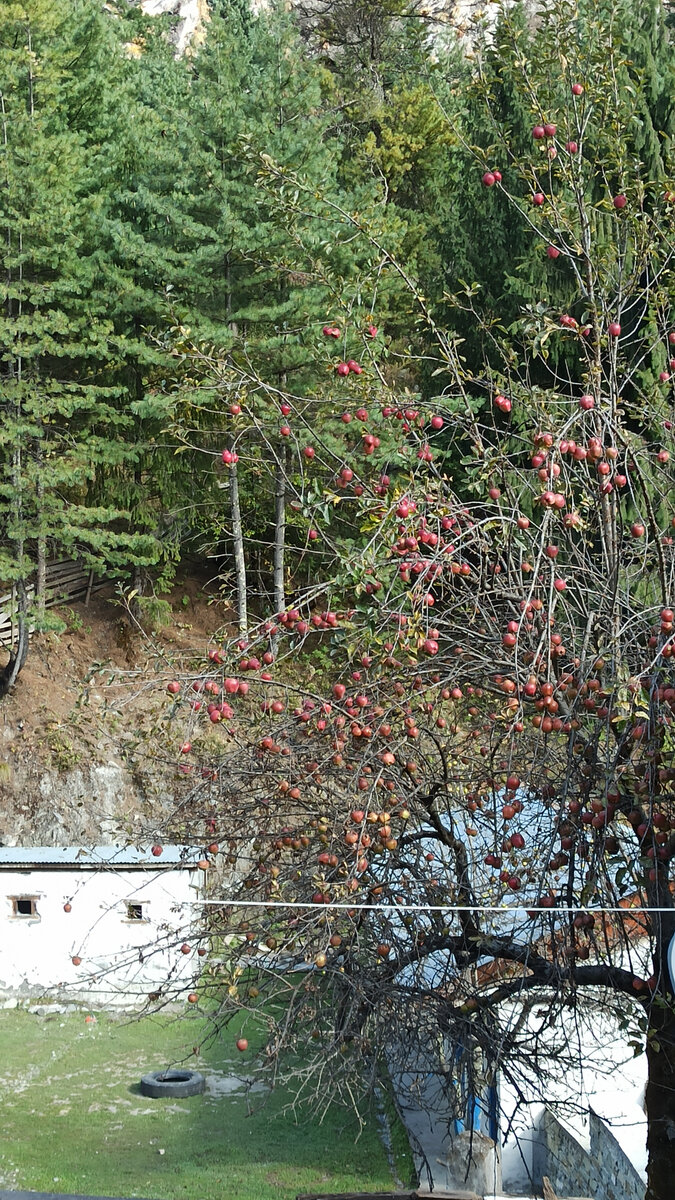 4 день, Чаме (Chame)- Верхний Писанг (Upper Pisang) | #ЗавтраКать | Дзен