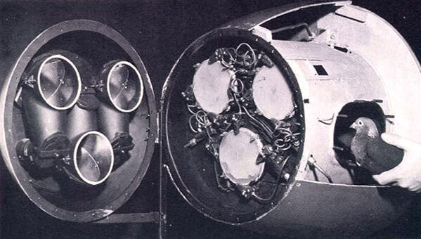 CC BY-SA 4.0 / wikipedia / Milos StevanovicРакета с биологической системой наведения голубями