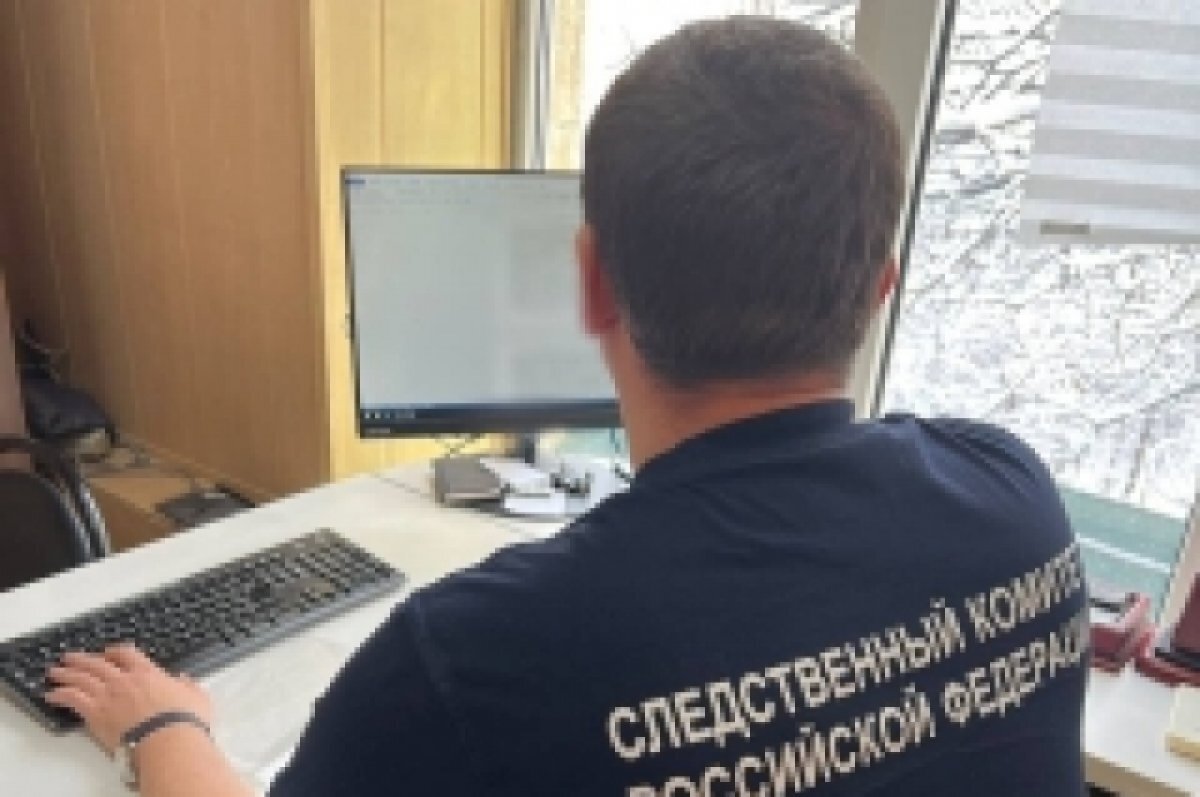    В Пятигорске завели дело против 17-летней «закладчицы» из Балашихи