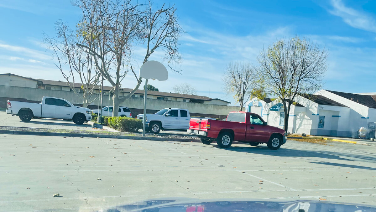 Главное-занять вовремя место и может получишь побольше или посвежее продуктов