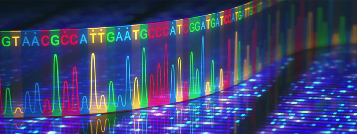 Так выглядит результат секвенирования в вашем воображении