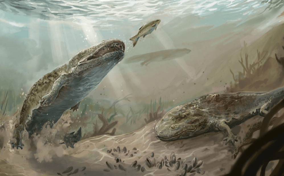    Ученые обнаружили рак костной ткани у ископаемого существа, которое жило более 215 миллионов лет назад