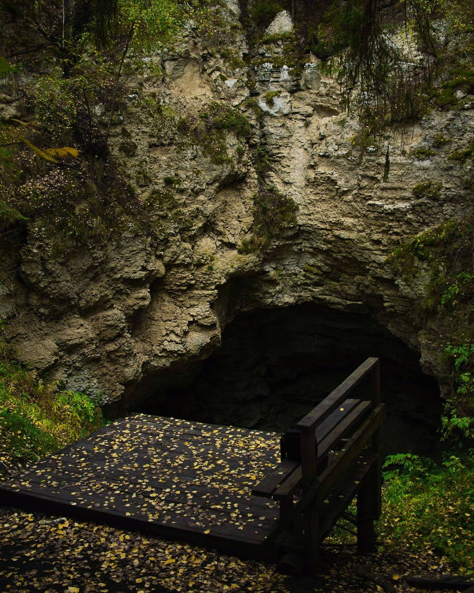 Источник: https://vsegda-pomnim.com/les/8694-andronovskij-les-perm-73-foto.html