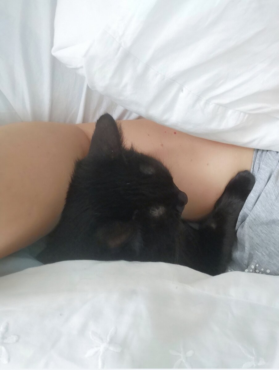 Ну, не совсем одна сплю. Ночка греется под одеялом))