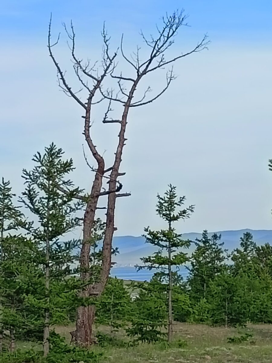 Озеро Байкал