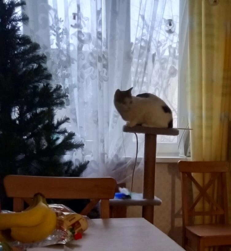 Зайчик