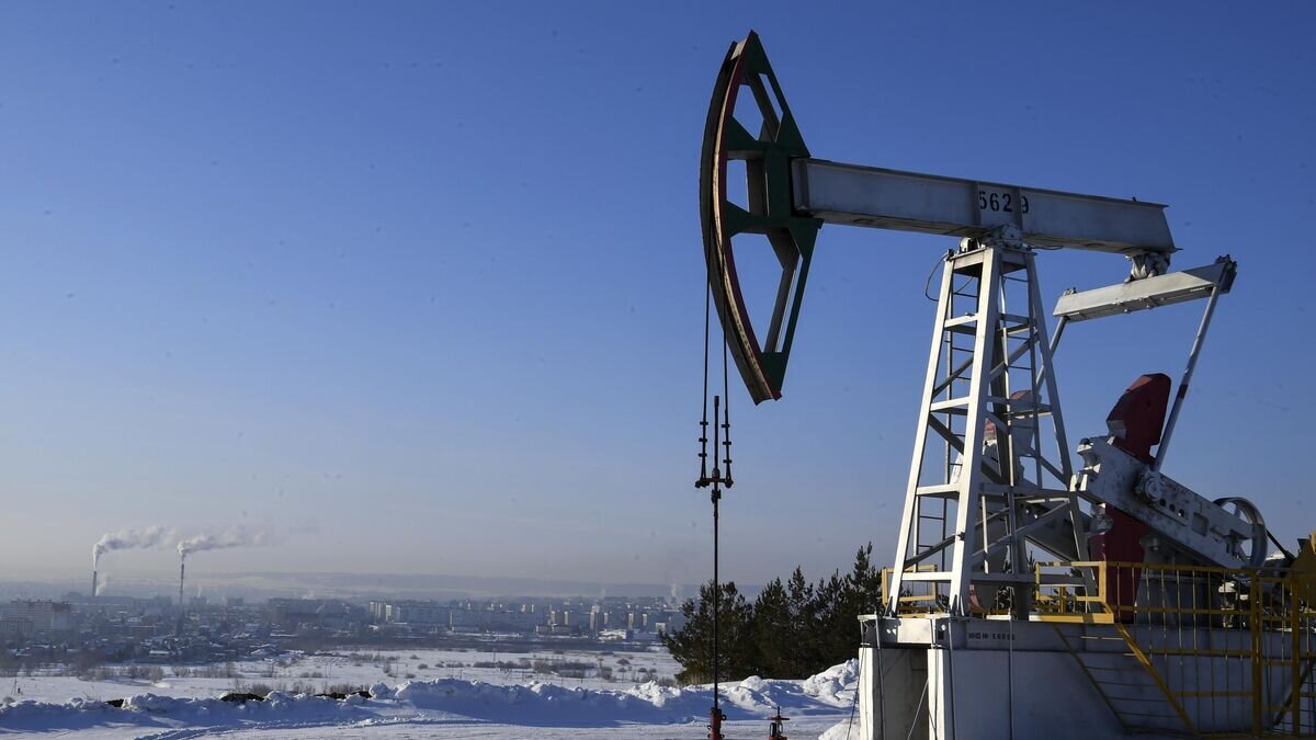    Нефтяная качалка в Альметьевском районе Республики Татарстан© РИА Новости / Максим Богодвид