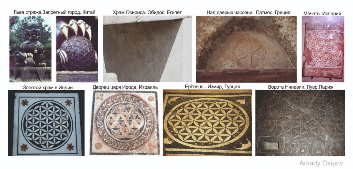 фотография взята из открытых источников