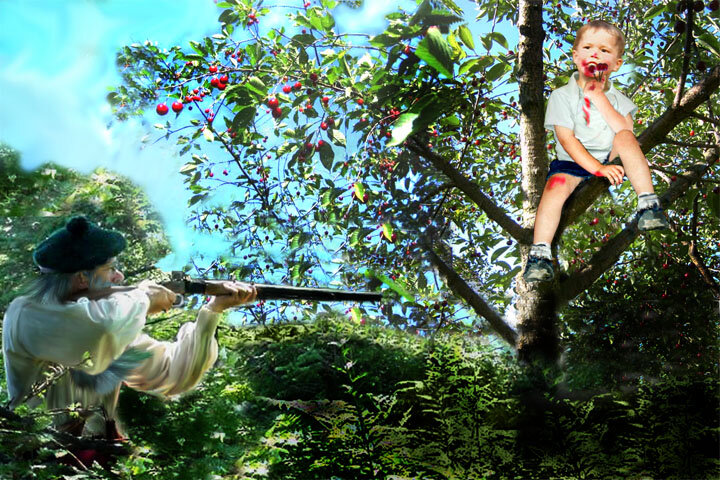 Источник: Яндекс . Фото из сети.