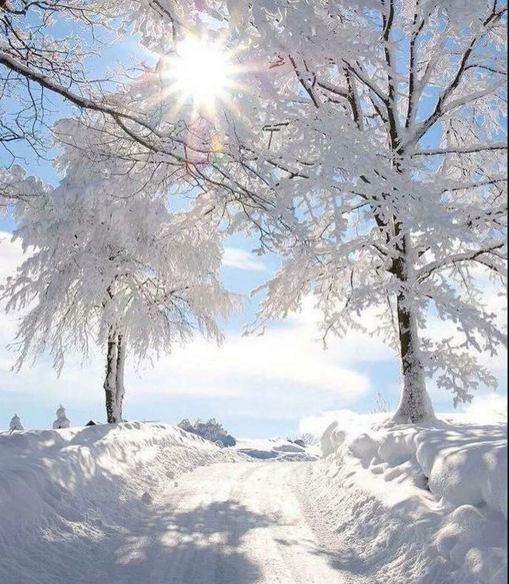 Источник изображения Яндекс-картинки.