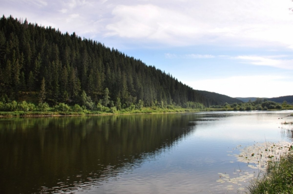    Природоохранные мероприятия прошли на Оке во Владимирской области