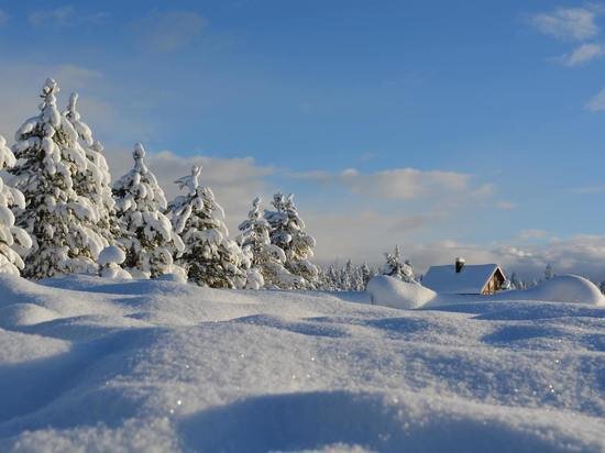     Фото pixabay.com