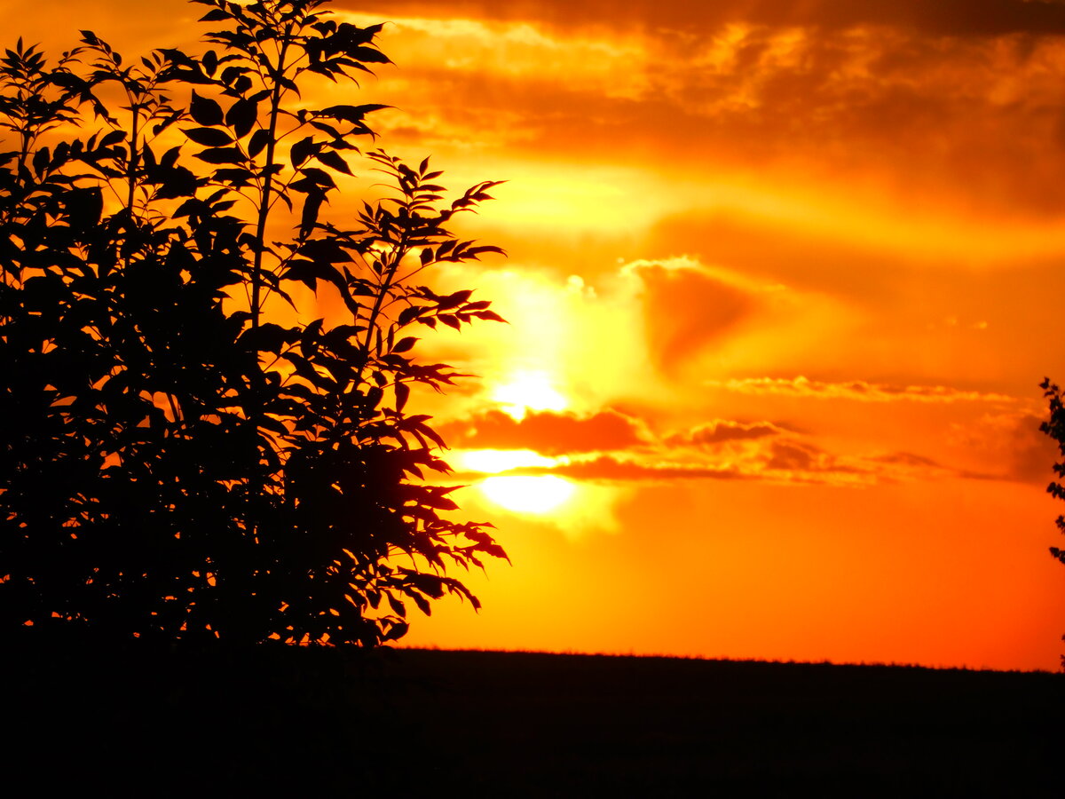 Фото автора канала