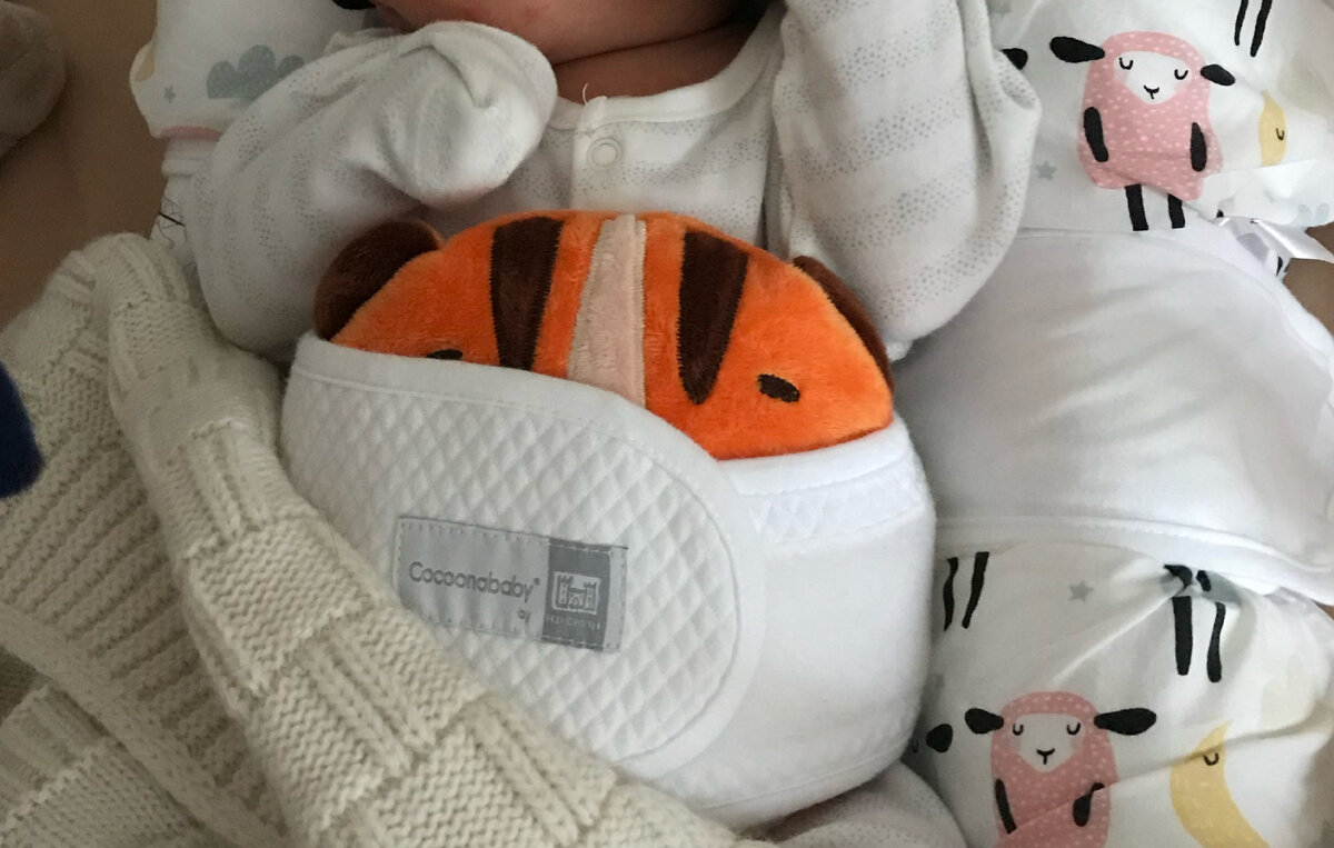 В коконе удобно закрепляется 