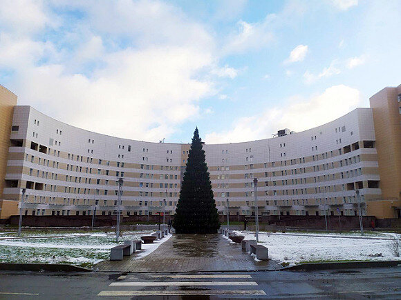    Фото ИА «Росбалт», Никита Строгов