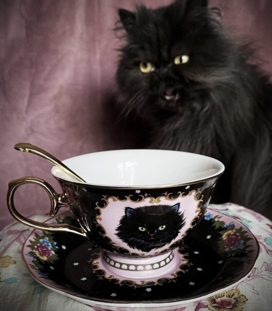 иллюстрация из яндекс картинки.