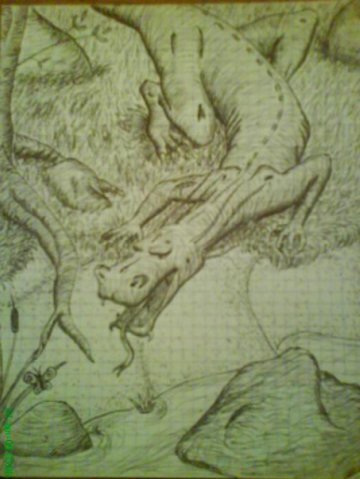 Первый дракоша любуется бабочкой. Или камышом.