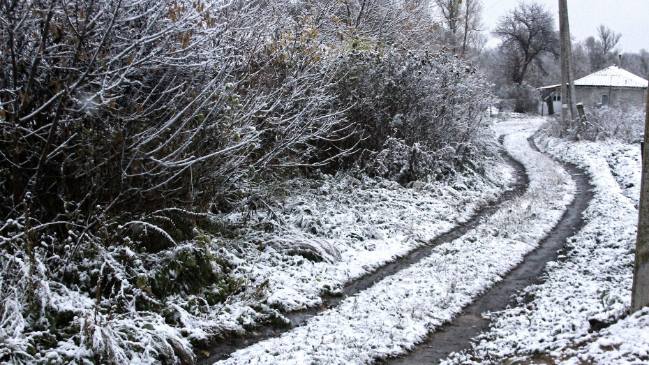    Автор фото: Евгения Емельянова (из архива)