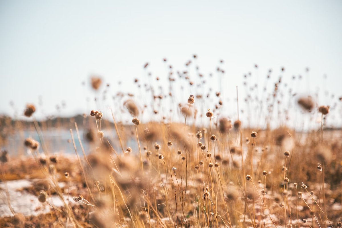 Pontus Wellgraf/ unsplash.com 