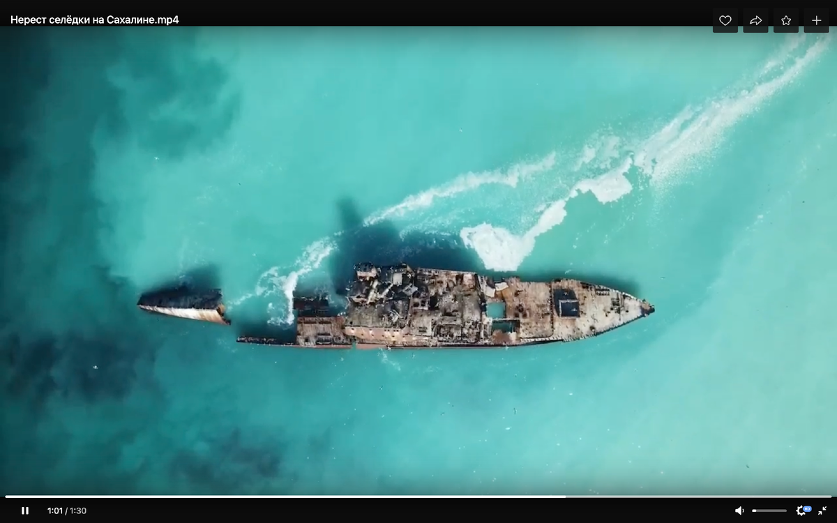 Скриншот из видео Олега Бутыгина