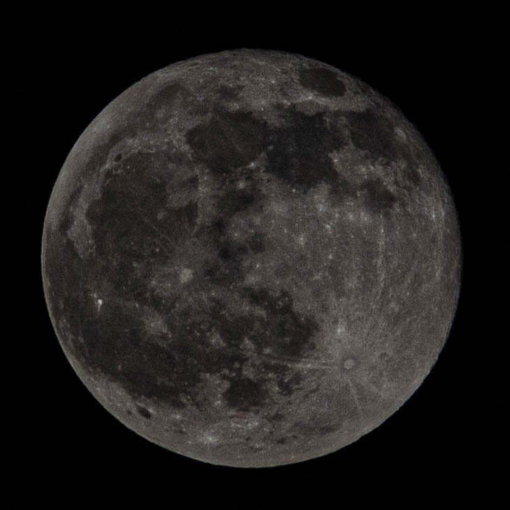 Данную фотографию вы можете скачать в моем Telegramm-канале в хорошем качестве!