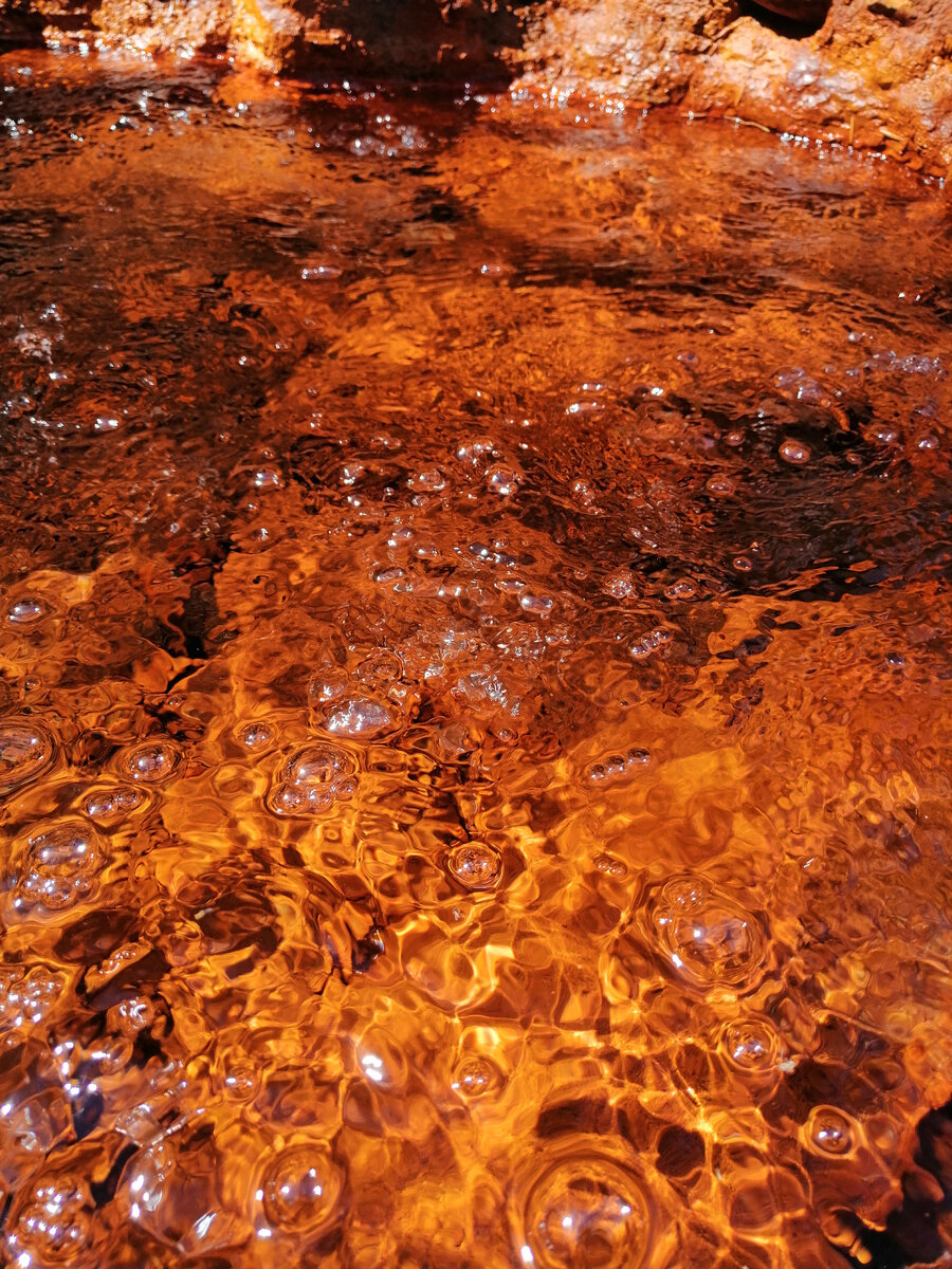 Дикий источник Нарзана