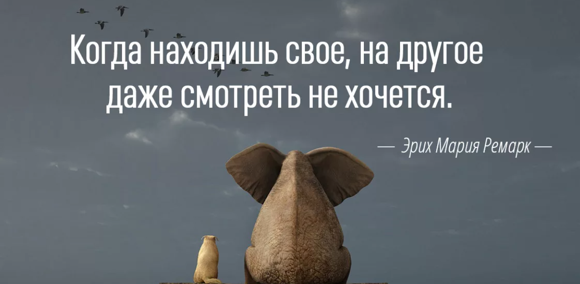 Статус найти свое. Короткие высказывания. Короткие цитаты. Когда находишь свое. Когда находишь свое на другое