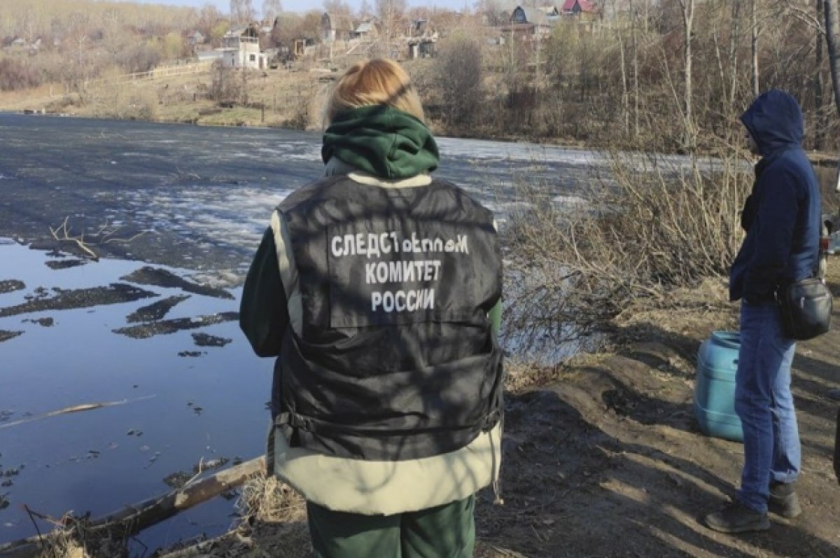    В Новокузнецке 10-летняя девочка утонула, провалившись под лёд