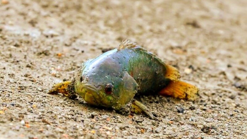 Смотрите, и до вас доберусь!