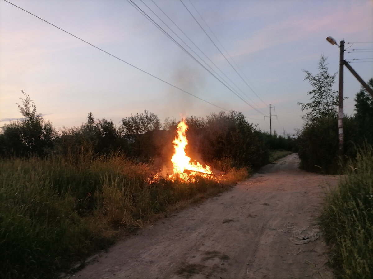 Равнодушие и злоба людей меня поражает или как мы тушили пожар в СНТ своими  силами | Приключения Петербуржцев в России | Дзен