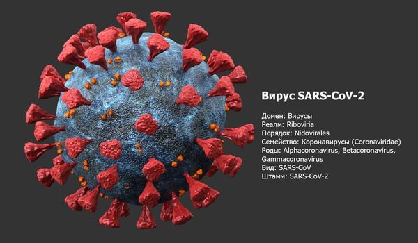 Фото: Клетка коронавируса портал «проболезни.ру»