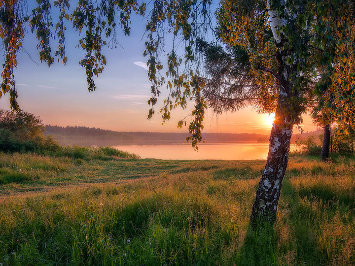 Источник картинки https://pro.culture.ru/uploads/4fc1bb690de80829f7bbcf4a6dec385d_w720_h540.jpeg