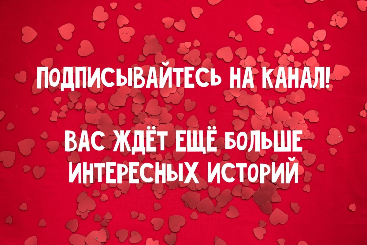 Медвежонок женат и у него двое детей. Но Малышка точно знает, что в той  семье ему плохо | Хранитель историй | Дзен