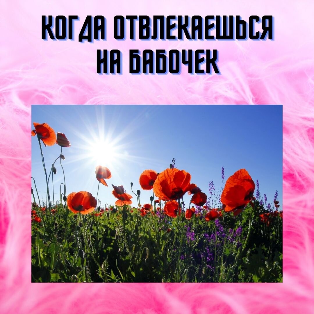 КОГДА ОТВЛЕКАЕШЬСЯ НА БАБОЧЕК. 
Вчера со мной произошло событие, после которого я чувствовала себя в некотором смятении. Просто не ожидала, что такое произойдет. Но все по порядку.

Я решила пройтись пешком до парка Кусково. Это от моего дома в километрах 5- ти. Но на этом маршруте много различных развилок, переходов, переездов. 
Место мне знакомо хорошо. 
И вот вчера, я иду по этой дороге и вдруг обнаруживаю себя в незнакомом месте на знакомом мне маршруте. Ну просто «телепортация» какая-то! 

Я огляделась, увидела название улицы и поняла, что свой перекресток пропустила и пошла прямо. Даже не заметила как. Просто шла и думала о чем-то другом. То есть, в тот момент я просто не применила своего правила, «быть внимательной» на развилке. Пошла на «автомате» и попала в «опасность» в другое место. 

Так и в бизнесе. Если ты не контролируешь свой бизнес, все спускаешь на самотек, то попадаешь в различные странные ситуации, которые даже не предвидел в знакомой обстановке. 

До цели я так и не дошла — ставила себе определенное время на прогулку. Вернулась назад. Нашла свою дорогу, и все встало на место. Но потеряла час времени.

А в бизнесе такое промедление или отвлечение на другой маршрут (который ты даже не предвидел) может стоить компании больших денег. Поэтому следует прописывать правила (технологию)и строго следовать им.