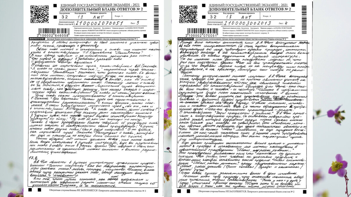 Скрин 1 и 2 страниц сочинения №17 Анны