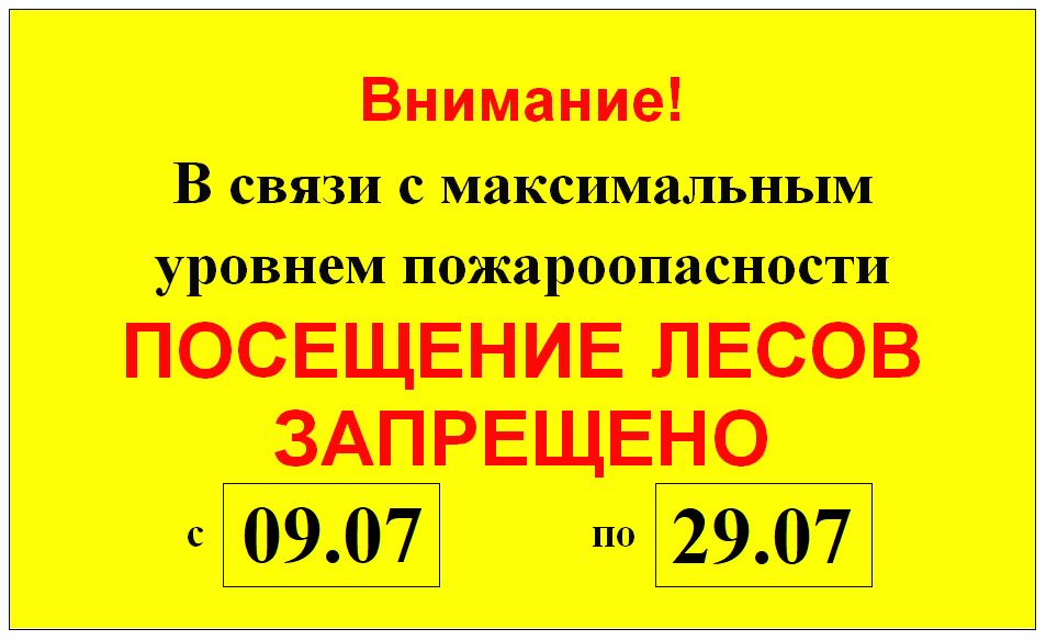 Аншлаг, информирующий о запрете посещения лесов